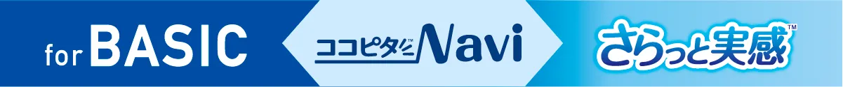 ココピタNavi
