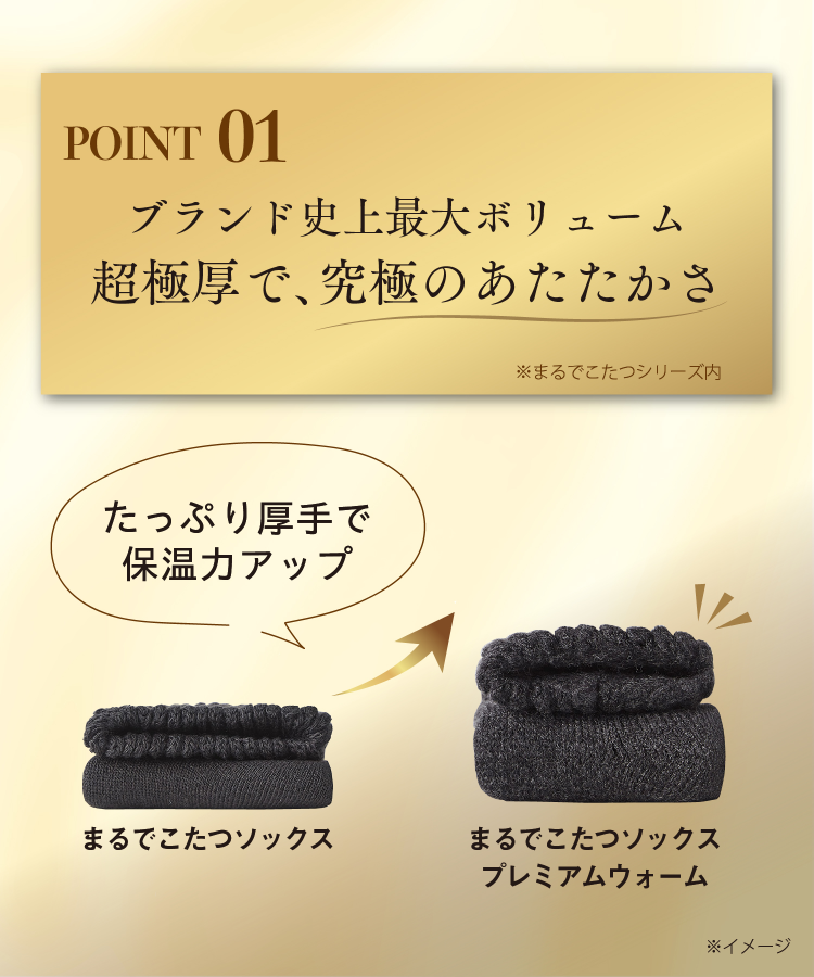 まるでこたつプレミアムウォーム 　アッシュグレー2個セット 靴下サプリ まるでこたつソックス プレミアムウォーム｜靴下の