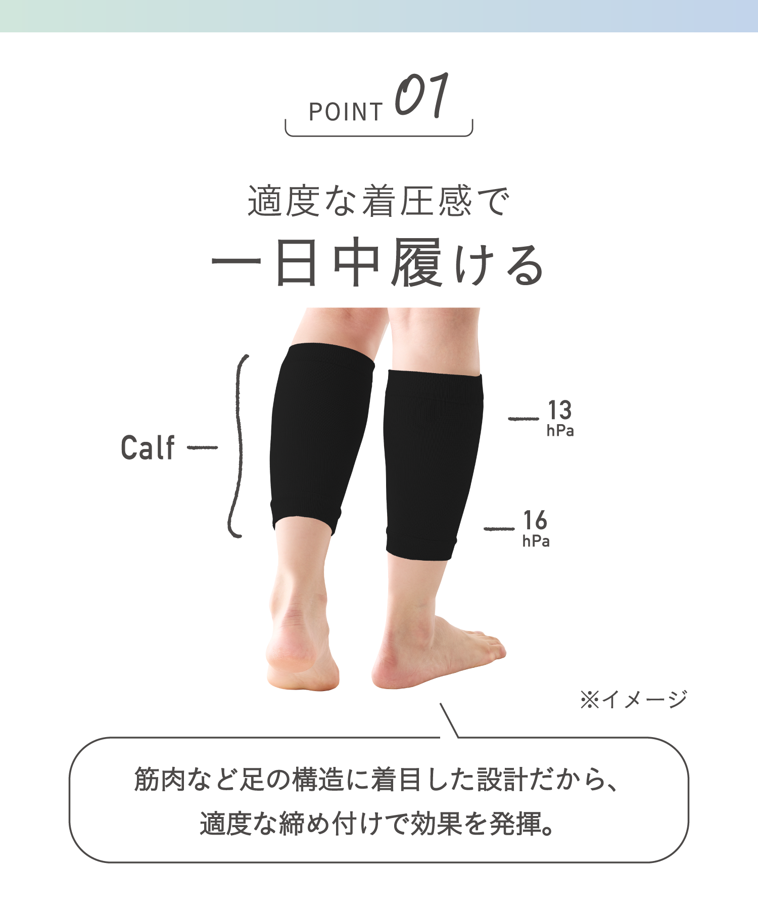 okamoto ふくらはぎ押し上げサポーター 靴下サプリ ふくらはぎ押し上げサポーター レディース｜靴下の岡本公式