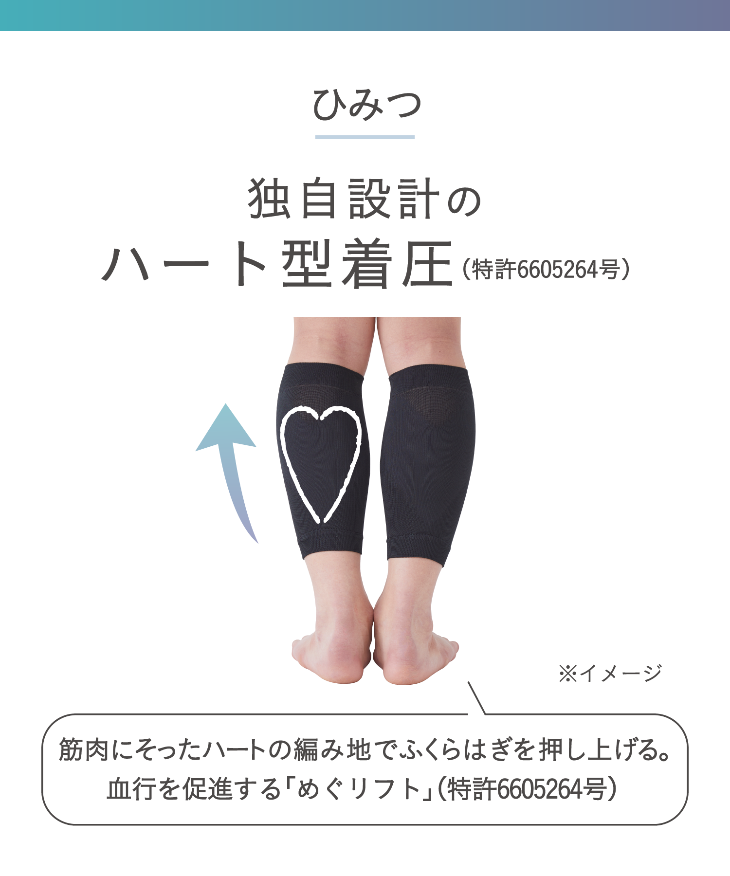 靴下サプリ メンズ ふくらはぎ押し上げサポータ ｜靴下の岡本公式